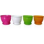گلدان تپلی 1