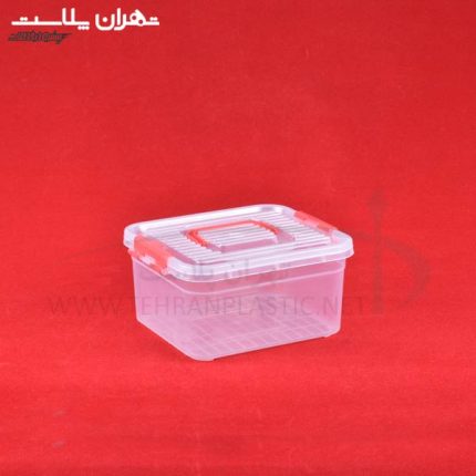 فریزری آسمان کوچک