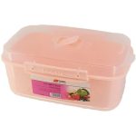 فریزری مستطیل قفلی پانیذ